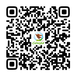 QR-код для перехода в MAX-бот ДОЛ Сокол