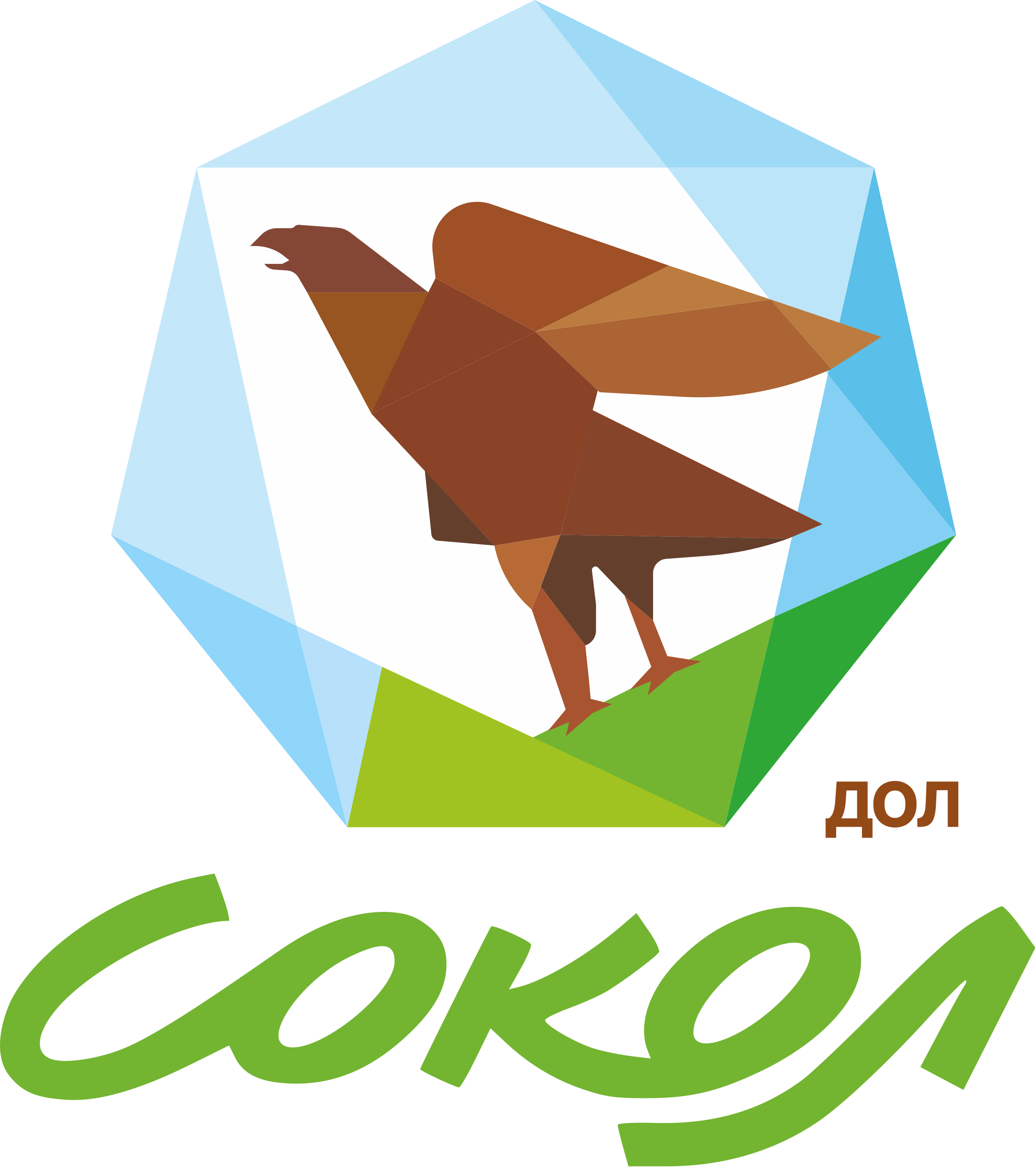Логотип ДОЛ Сокол