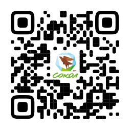 QR-код для перехода в Telegram-бот ДОЛ Сокол